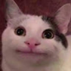 Meet your Posher, Skye